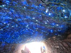 Glastonbury 2015 Greenpeace tunnel