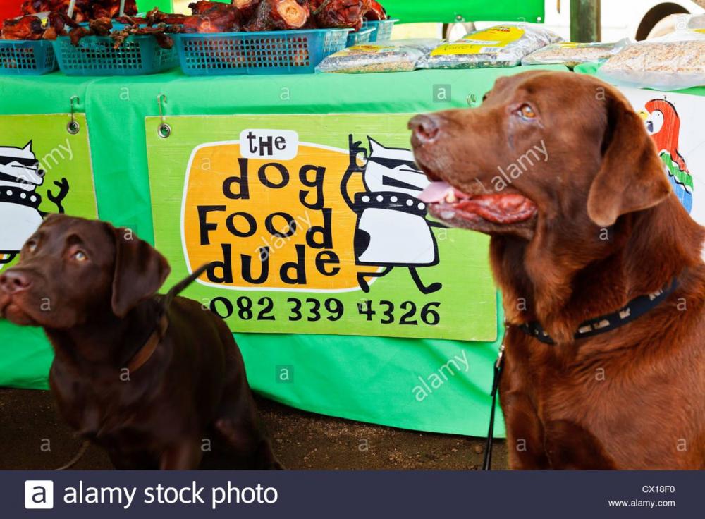 chocolate-labradors-at-a-local-farmers-market-specialist-dog-food-CX18F0.jpg