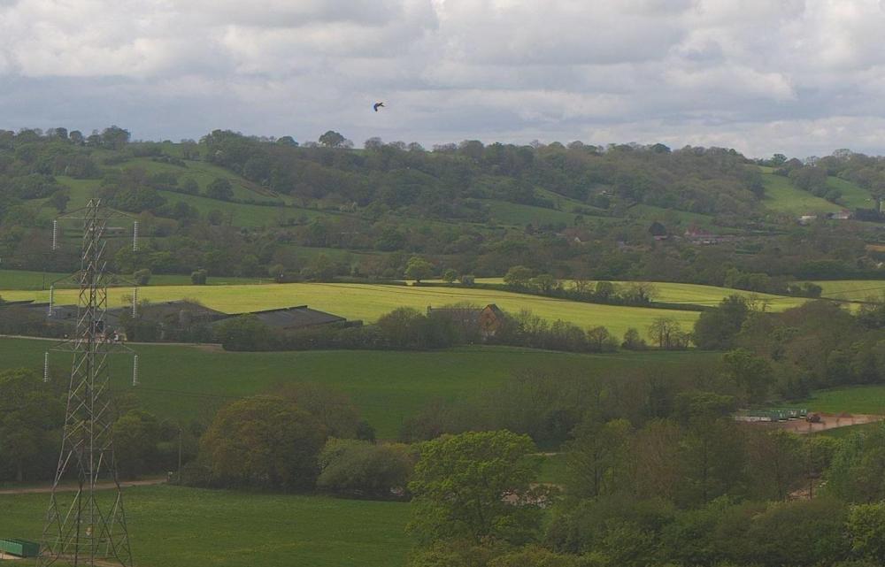 bbc_glastonbury_2019-05-02_11-50-00.jpg