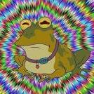 Amnesic_Toad