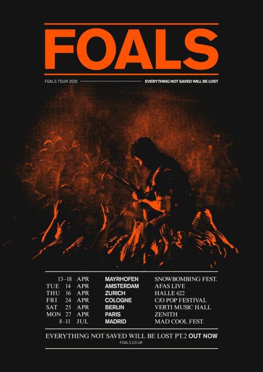 foals.jpg