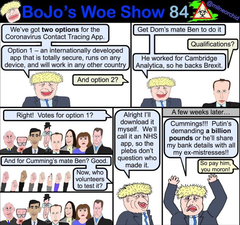 Bojo 84.jpg