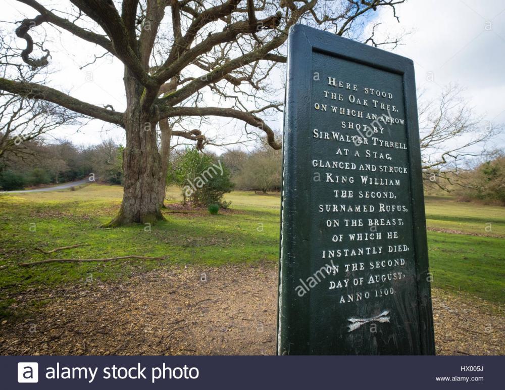 rufus-stone-memorial-in-the-new-forest-on-the-site-where-king-william-HX005J.jpg