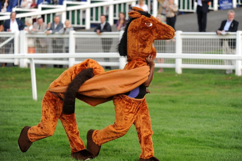 sandown-park-pantomime-horse-race-2013.jpg