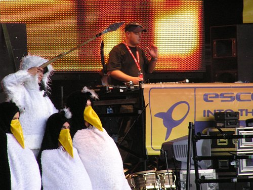 Dave Pearce .. and penguins