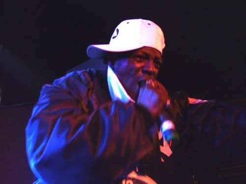 Electric Picnic 2011 - Public Enemy