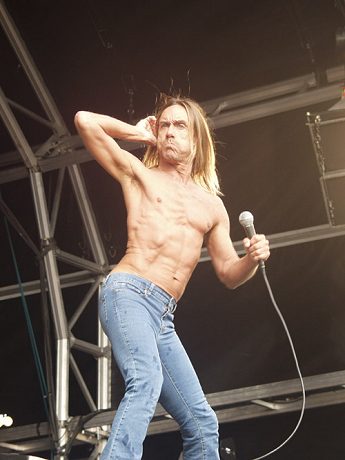 Iggy & the Stooges