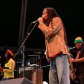 The Wailers