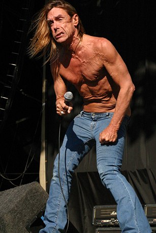 Iggy & the Stooges