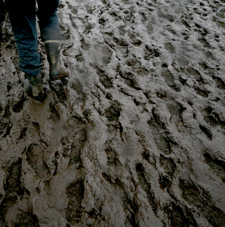 The Hullabaloo Festival 2012 - a muddy festival