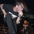 Cancer Bats