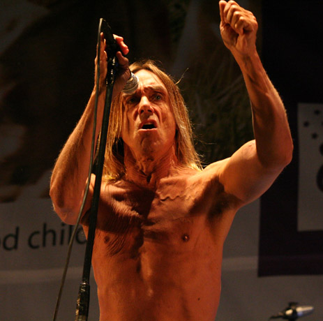 Get Loaded in the Park 2008 - Iggy & the Stooges