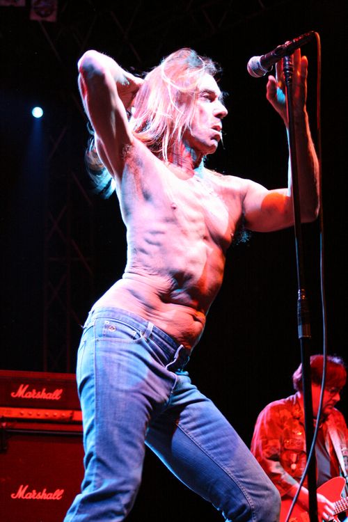 Iggy & the Stooges