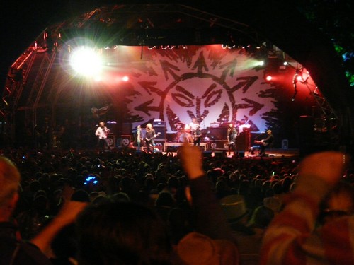 Beautiful Days 2008 - Levellers