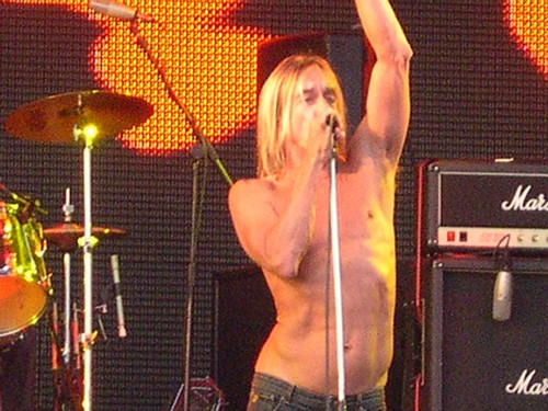 Get Loaded in the Park 2008 - Iggy And The Stooges