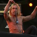 Iggy & the Stooges