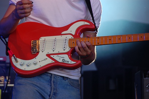 BluesFest 2015 - Wild Beasts