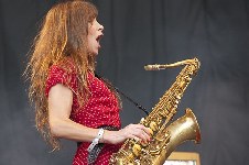 The Zutons