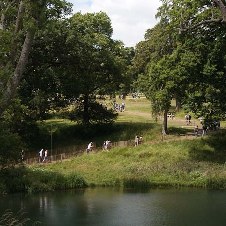 around the festival site