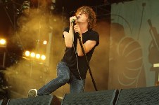 The Pigeon Detectives