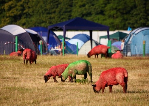 Latitude 2010 - around the festival site (3)