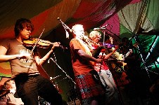 Peatbog Faeries