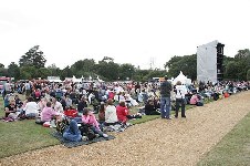 around the site (crowd for Simply Red)