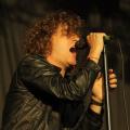 The Pigeon Detectives