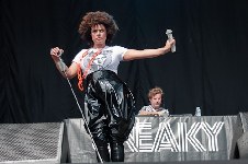 Sneaky Sound System