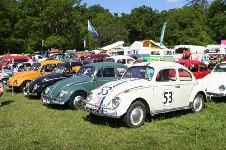 around the festival site (VWs)