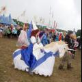 around the festival site (fancy dress 2)