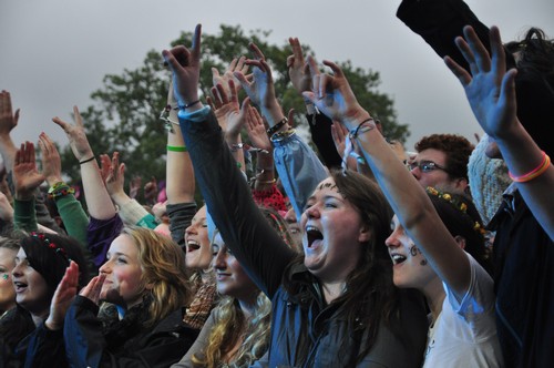 Electric Picnic 2010 - around the festival site (2)