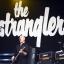 Benicassim Festival adds The Stranglers, Pendulum, and Paolo Nutini