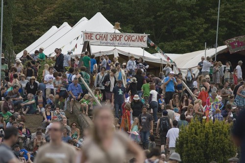 The Green Man Festival 2010 - around the festival site (2)