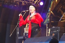 Hazel O Connor