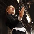 The Hives