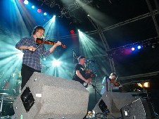 Peatbog Faeries