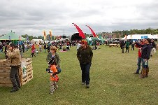 around the festival site