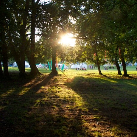 Blissfields Festival 2012 - around the festival site (1)