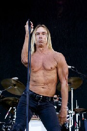 Iggy And The Stooges