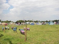 around the festival site (Friday)