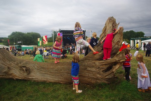 Standon Calling 2011 - around the festival site (3)