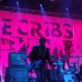 The Cribs