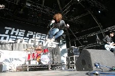 The Pigeon Detectives