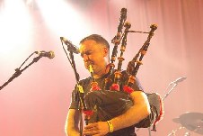 Peatbog Faeries