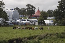 around the festival site