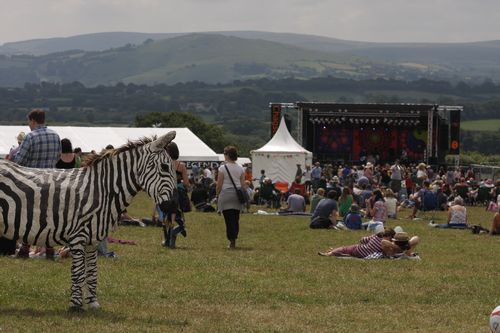 around the festival site (1)