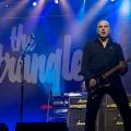 The Stranglers