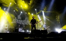 The Stranglers