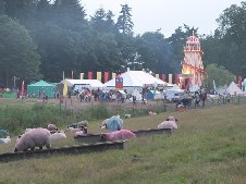 around the festival site (2)